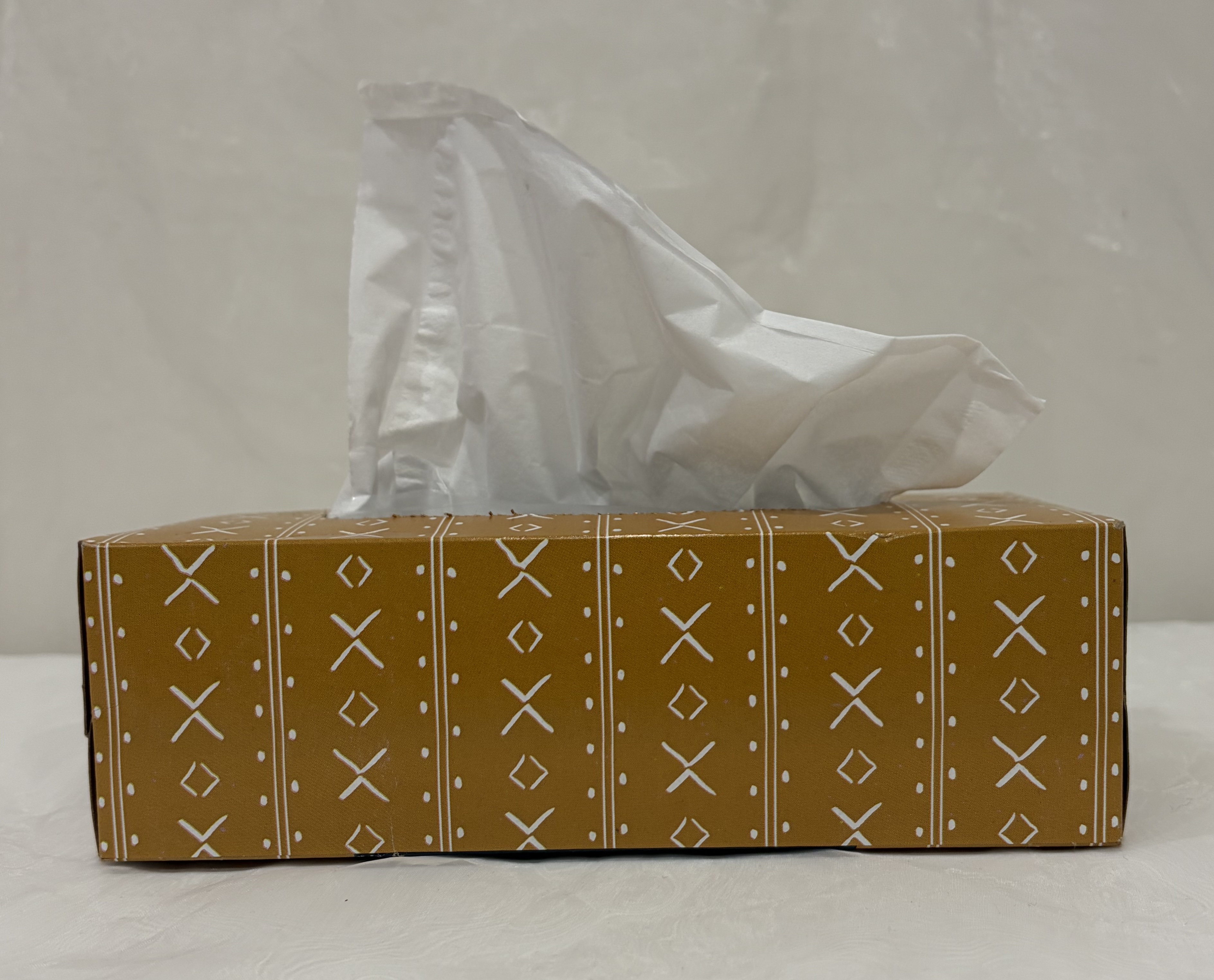 Front View of Tissue: Primitive Shape
