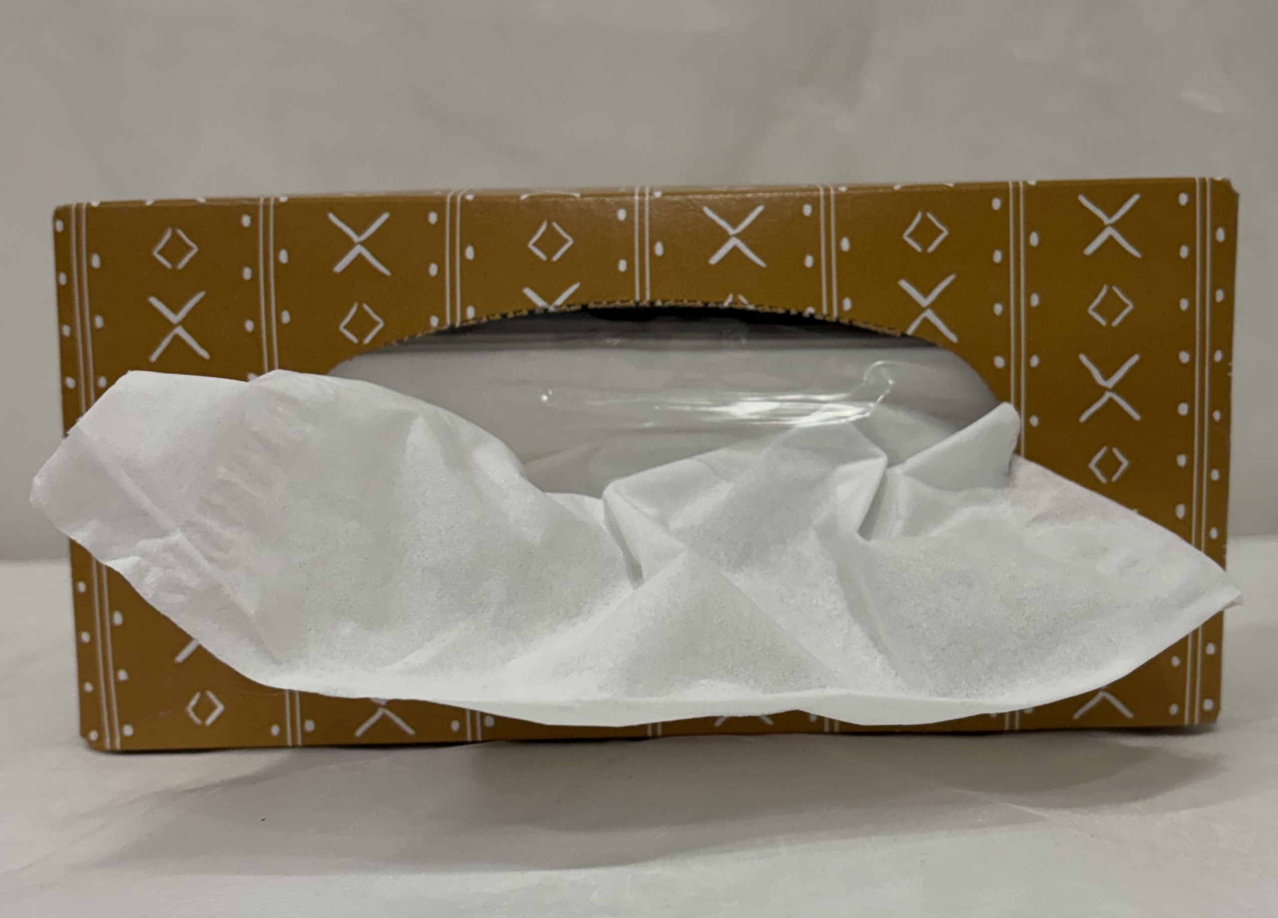 Side View of Tissue: Primitive Shape
